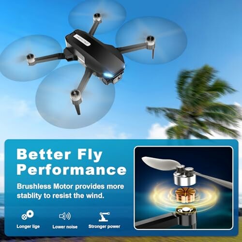 Drone with enhanced fly performance and brushless motor.