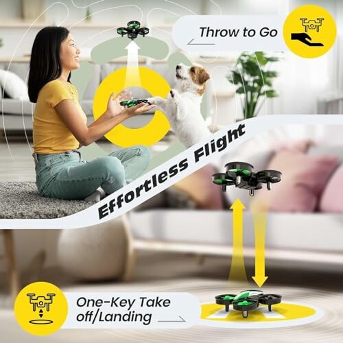 Holy Stone Mini Drone HS210